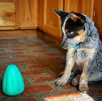 Chew King by Mammoth Premium Treat Dog Toy, Medium, Extremely Durable Natural Rubber Toy, Pack of 2