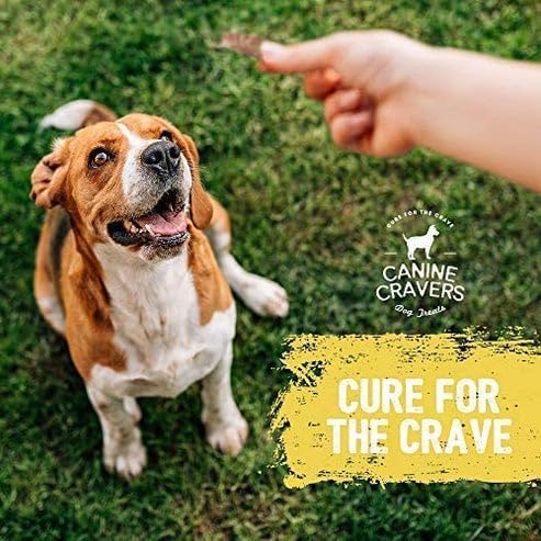 Canine Cravers Single Ingredient Dog Treats – Farm Fresh Chicken - Human Grade Air Dried Hypoallergenic Pet Food – Grain, Gluten, and Soy Free – 100% All Natural – 5.3 oz