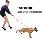 lynxking Dog Leash Slip Lead 5 6 8 FT Dog Training Leash Strong Heavy Duty Braided No Pull Training Lead Leashes for Small Medium Large Dogs