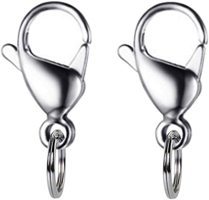 IVIA Dog Tag Clips / 316 Stainless Steel Lobster Buckle with Rings for Cat& Dog Collars and Necklace(2 Pack Silver)