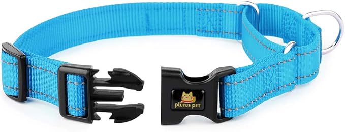 PLUTUS PET Reflective Martingale Collar with Quick Snap Buckle,No Pull Dog Choker Collar for Small Medium Large Dogs,XS,Blue