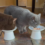 Rawz Natural Premium Shredded Canned Cat Wet Food - Grain Free Made with Real Meat Ingredients No BPA or Gums - 3oz Cans 18 Count (Chicken & Duck)