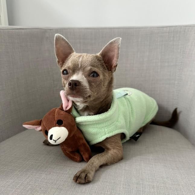 JACKO & CO - Fleece Vest Sweater with Leash Ring - Soft Lightweight Breathable for Puppies Small Medium Dogs, Kitten, Cats, Chihuahua - Warm for Fall/Autumn/Winter (Mint Green, Large 10-16lbs)