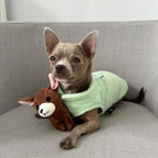 JACKO & CO - Fleece Vest Sweater with Leash Ring - Soft Lightweight Breathable for Puppies Small Medium Dogs, Kitten, Cats, Chihuahua - Warm for Fall/Autumn/Winter (Mint Green, X-Large 17-25lbs)