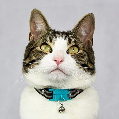 Kittyrama Havana Cat Collar with Bell. Breakaway Collar. Won't Rub Fur. Lightweight, Soft & Comfy