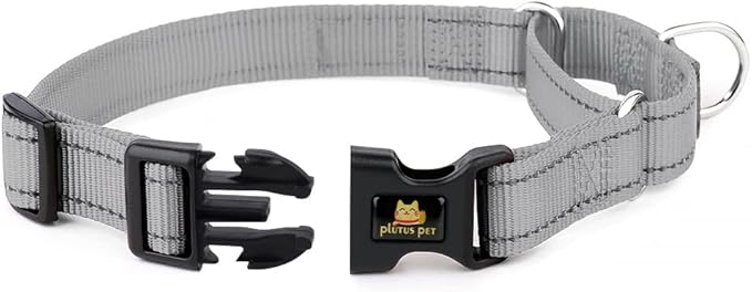 Plutus Pet Reflective Martingale Collar with Buckle - Durable and Adjustable Training Collar for No Pulling, Dog Choker Collar for Small Medium Large Dogs, Gray, L