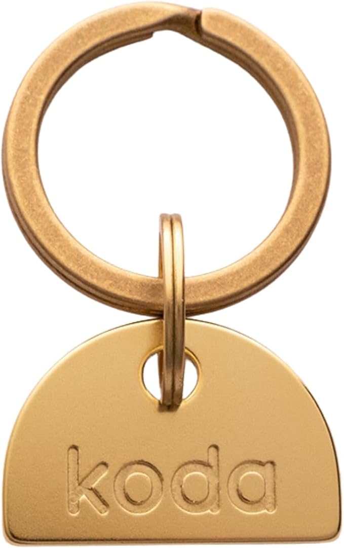 Solid Brass PET TAG - Modern, Minimal Pet IDs. Durable, Lifetime Tags with deep Cut Text. Includes Space for Two Phone Numbers. (Arch Mini)