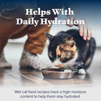 Blue Buffalo Wilderness High Protein, Natural Adult Pate Wet Cat Food Variety Pack, Chicken, Salmon, Duck 3-oz Cans (12 Count- 4 of Each Flavor)