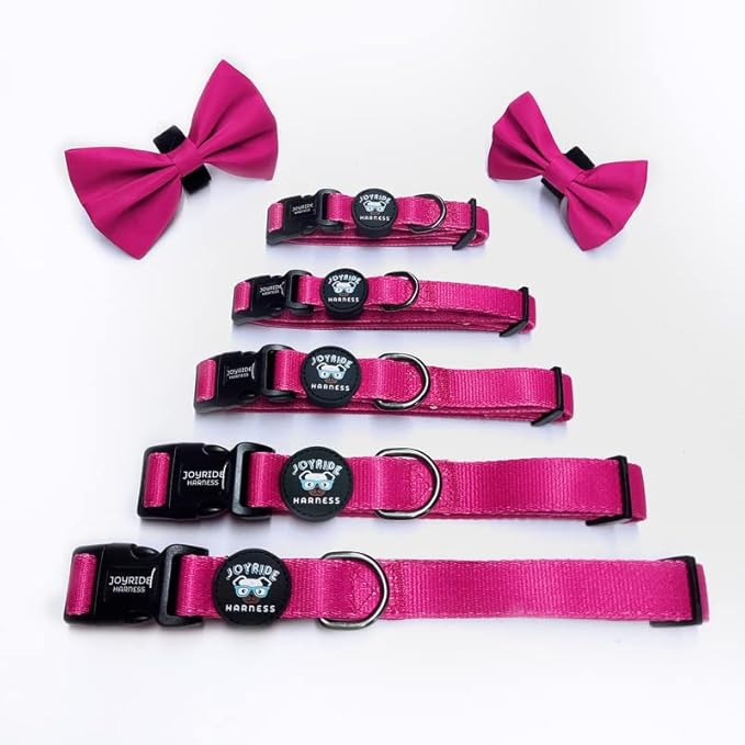 Joyride Harness Dog Collar with Removable Bowtie - Adjustable and Breathable for All Dog Breeds, Strong D-Ring and Heavy Duty Buckle, for Pet Lovers