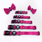 Joyride Harness Dog Collar with Removable Bowtie - Adjustable and Breathable for All Dog Breeds, Strong D-Ring and Heavy Duty Buckle, for Pet Lovers