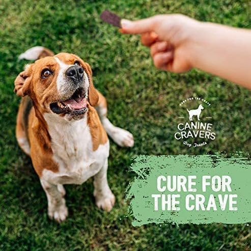 Canine Cravers Single Ingredient Dog Treats – Premium Beef Fillets - Human Grade Air Dried Hypoallergenic Pet Food – Grain, Gluten, and Soy Free – 100% All Natural - 5.3 oz