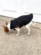 JACKO & CO - Fleece Vest Sweater with Leash Ring - Soft Lightweight Breathable for Puppies Small Medium Dogs, Kitten, Cats, Chihuahua - Warm for Fall/Autumn/Winter (Black, XS 2-4lbs)