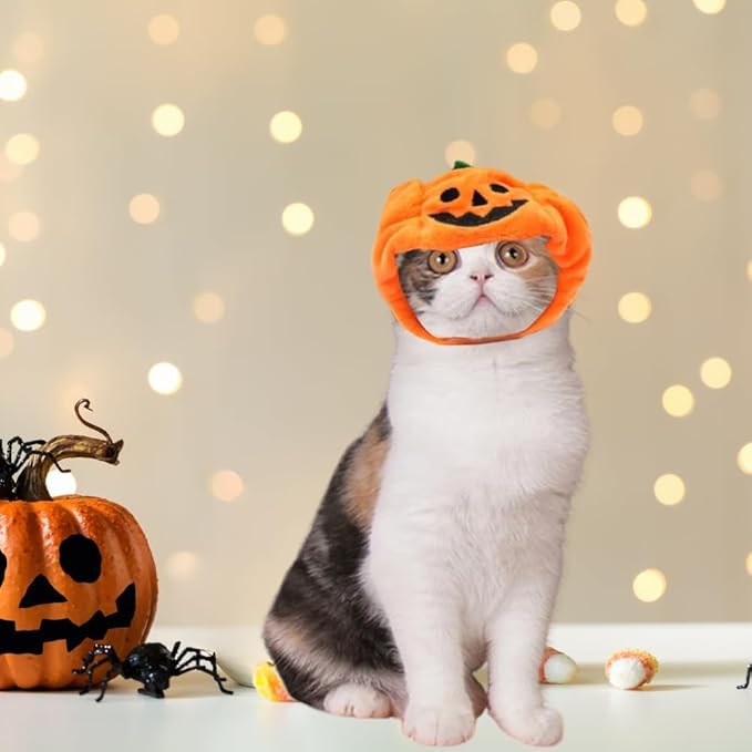 5 Pcs Halloween Cat Hat Cat Costume Pumpkin Cat Hats Bat Cosplay Hats,Kitten Puppy Dress Up Valentines Halloween Easter Costume Adjustable Accessory Headwear(Wacky Style)