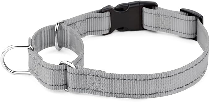 Plutus Pet Reflective Martingale Collar with Buckle - Durable and Adjustable Training Collar for No Pulling, Dog Choker Collar for Small Medium Large Dogs, Gray, L