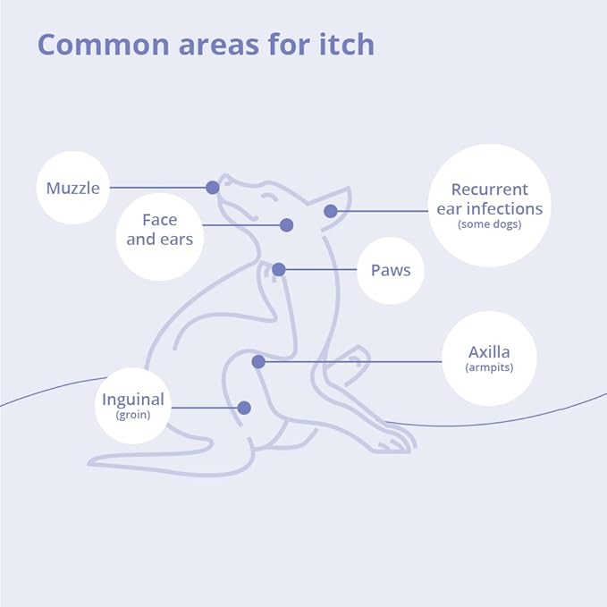 MiconaHex+Triz Spray for Dogs, Cats and Horses, 16 fl oz