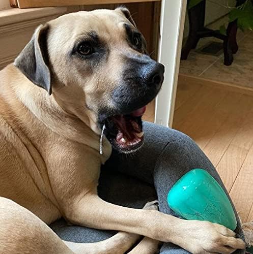 Chew King by Mammoth Premium Treat Dog Toy, Medium, Extremely Durable Natural Rubber Toy, Pack of 2