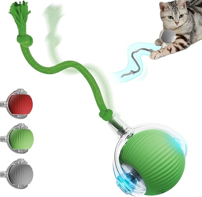 2026 New Interactive Cat Toys for Indoor Cats, Kitten Toys to Relieve Boredom for Indoor Cats (Green)