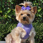 Doggie Design Dog Harness - No Choke Dog Harness, Dog Vest, Mesh Polyester, Pet Harness, Simple Step in and Go Design, Harness for Dog - Paisley Purple - XL