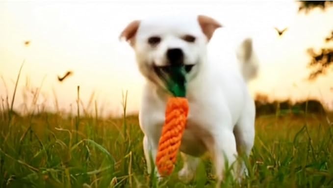 Dog Toy Bundle – 2 Durable Plush Squeaky Goose Toys + 1 Carrot Rope Chew Toy – Interactive Play Set for Small & Medium Dogs