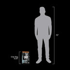 Go! Solutions Digestion + Gut Health, Dry Cat Food, Chicken Recipe with Ancient Grains, 3 lb Bag