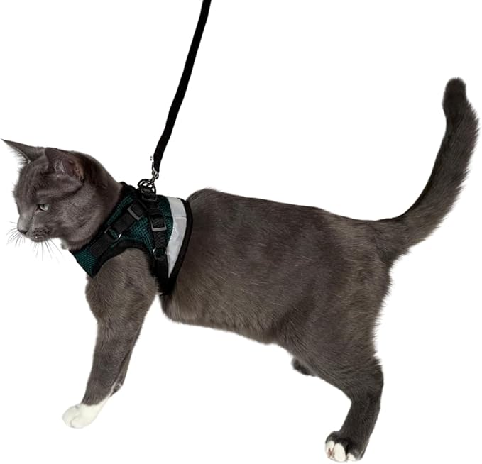 Travel Cat The Emerald Explorer Limited Edition Green Harness and Leash Set - Adjustable Fit Mesh Cat Harness with Reflective Strap - Escape Proof Harness for Cats, Kitten (Emerald, Extra Small)