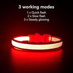 YFbrite Light up Dog Collar, USB Rechargeable LED Puppy Collar Super Bright Adjustable Glowing Dog Lights for Night Walking (Red, Small)