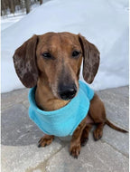 Gooby Zip Up Fleece Dog Sweater - Turquoise, 3X-Large - Warm Pullover Fleece Step-in Dog Jacket with Dual D Ring Leash for Small to Medium Dogs