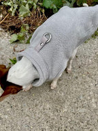 JACKO & CO - Fleece Vest Sweater with Leash Ring - Soft Lightweight Breathable for Puppies Small Medium Dogs, Kitten, Cats, Chihuahua - Warm for Fall/Autumn/Winter… (Grey, XX-Large 25-35lbs)