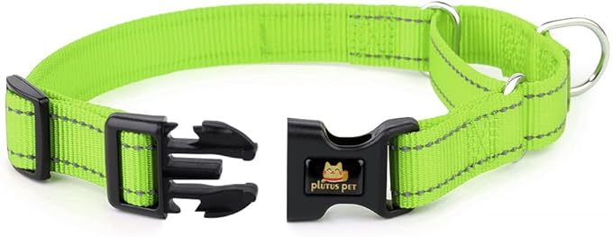 Plutus Pet Reflective Martingale Collar with Buckle - Durable and Adjustable Training Collar for No Pulling, Dog Choker Collar for Small Medium Large Dogs, Bright Green, S