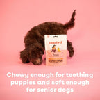 Pupford Soft & Chewy Training Treats for Dogs & Puppies (Pork, 10 oz)