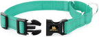 Plutus Pet Reflective Martingale Collar with Buckle - Durable and Adjustable Training Collar for No Pulling, Dog Choker Collar for Small Medium Large Dogs, Teal, L