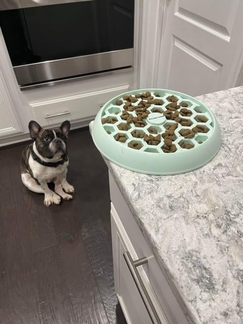 Small Big Dog's Enrichment Bowl and Lick Mat- Top Slow Feeder, Bottom Lick Mat, Soft on Nose Design Breeds, Focus on Dogs w/Short Snouts Like Frenchies, Silicone, Dishwasher Safe