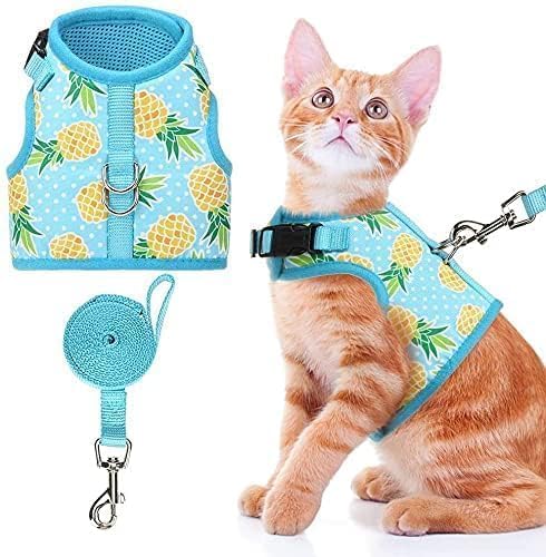 BINGPET Cat Harness - Mesh Cat Dog Walking Harness with Leash - Adjustable Cat Vest Harness for Kittens and Puppies - Pineapple