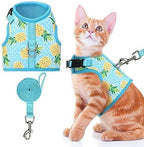 BINGPET Cat Harness - Mesh Cat Dog Walking Harness with Leash - Adjustable Cat Vest Harness for Kittens and Puppies - Pineapple