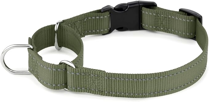 PLUTUS PET Reflective Martingale Collar with Quick Snap Buckle,No Pull Dog Choker Collar for Small Medium Large Dogs, L, Ranger Green