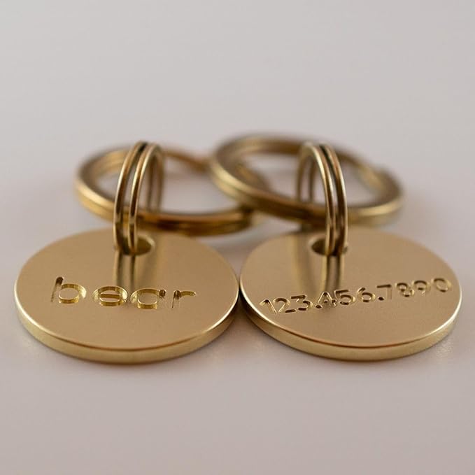 Solid Brass PET TAG - Modern, Minimal Pet IDs. Durable, Lifetime Tags with deep Cut Text. Includes Space for Two Phone Numbers. (Circle)