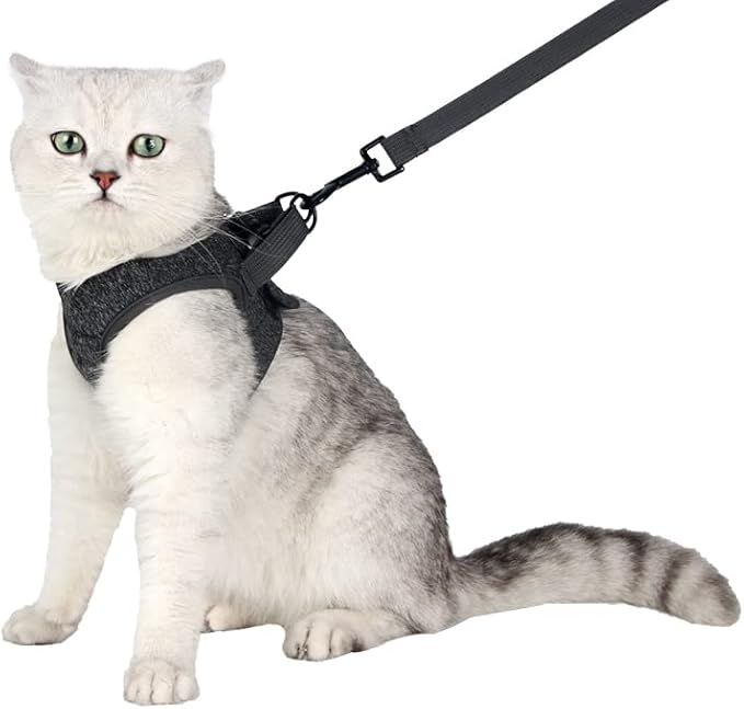 HEYWEAN Cat Harness and Leash - Ultra Light Escape Proof Kitten Collar Cat Walking Jacket with Running Cushioning Soft and Comfortable Suitable for Puppies Rabbits