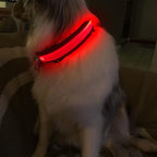 MASBRILL LED Dog Collar - Light Up, Rechargeable, Waterproof, Glow Collar for Small to Large Dogs