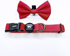 Joyride Harness Dog Collar with Removable Bowtie - Adjustable and Breathable for All Dog Breeds, Strong D-Ring and Heavy Duty Buckle, for Pet Lovers