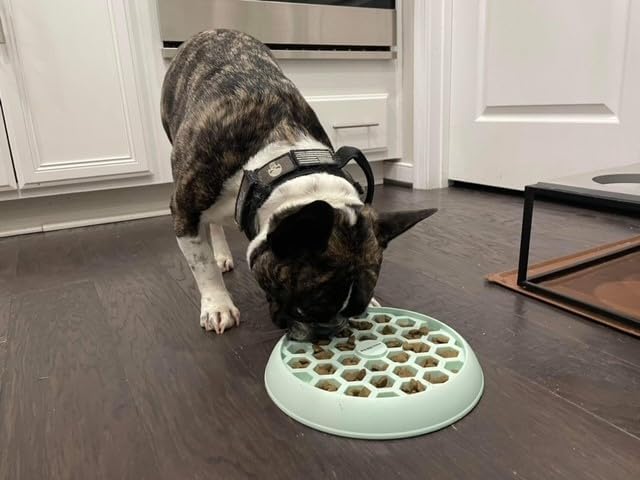 Small Big Dog's Enrichment Bowl and Lick Mat- Top Slow Feeder, Bottom Lick Mat, Soft on Nose Design Breeds, Focus on Dogs w/Short Snouts Like Frenchies, Silicone, Dishwasher Safe