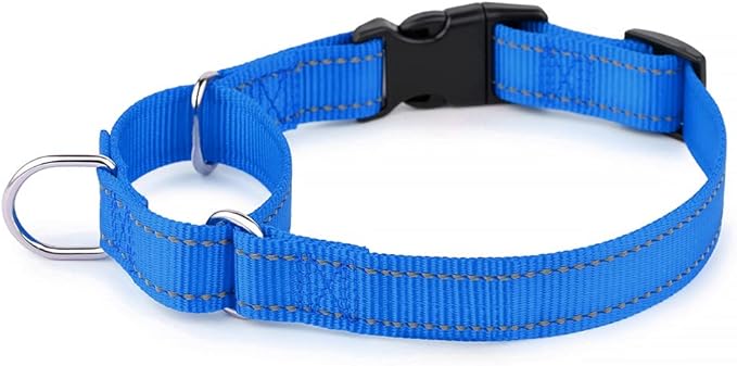 Plutus Pet Reflective Martingale Collar with Buckle - Durable and Adjustable Training Collar for No Pulling, Dog Choker Collar for Small Medium Large Dogs, Royal Blue, L