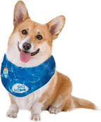 ALL FOR PAWS Dog Cooling Bandana, Cooling Bandanas for Small Dogs, Ice Dog Bandanas, Cooling Neck Wraps for Dogs, Chill Out Blue Neck Cooler (S)