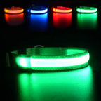 MASBRILL LED Dog Collar,Light Up Dog Collars Rechargeable Lighted Dog Collar Glowing Dog Night Walking Collar 4 Colors for Choice
