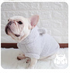 Easter Dog & Cat Outfit - Bunny Ears Hoodies, Fleece Puppy Clothes, Warm Dog Sweatshirt & Cat Costume (Large, Grey)