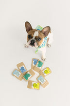 Winnie Lou Organic Healthy Dog Treats – All Natural Dog Jerky Treats Made in USA with Organic Ingredients from Colorado Farms – for Small, Medium, Large Dogs - 6 Sample Packs, 2 Treats Per Pack