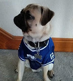 LuckyPet Klippy Pet Tag Quick Clips - Cat & Dog Collar for ID Tags Holder Efficient Ring Attachment Clip for Safety - Red, 2 Pack