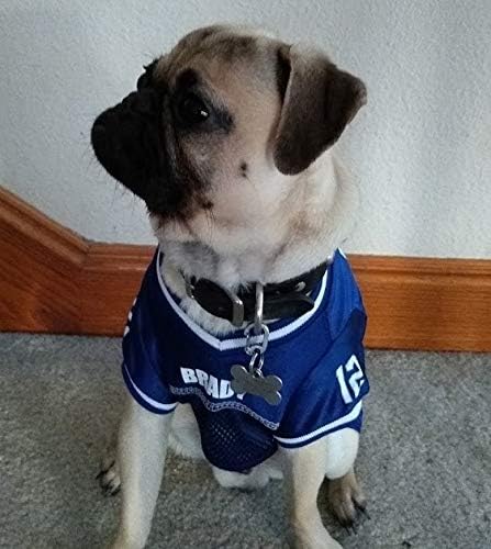 LuckyPet Klippy Pet Tag Quick Clips - Cat & Dog Collar for ID Tags Holder Efficient Ring Attachment Clip for Safety - Blue, 2 Pack