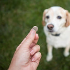 PHS Joint MAX Triple Strength (TS) Chewable Tablets for Dogs - Glucosamine, Chondroitin, MSM - Vitamins, and Antioxidants - Hip and Joint Pain Relief and Support Supplement - Made in USA - 120 Tablets