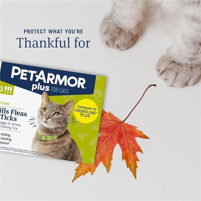 PetArmor Plus Flea and Tick Prevention for Cats, Cat Flea and Tick Treatment, 12 Doses, Waterproof Topical, Fast Acting, Cats Over 1.5 lbs
