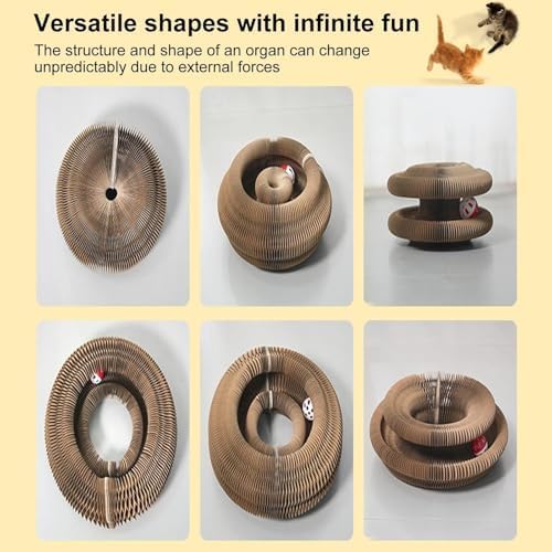 2PC Kitty Curls Cat Toy,Magic Organ Cat Scratcher Board,Cat Scratcher for Grinding Claw Cardboard Cat Toys,Interactive Scratch Pad with Toy Ball